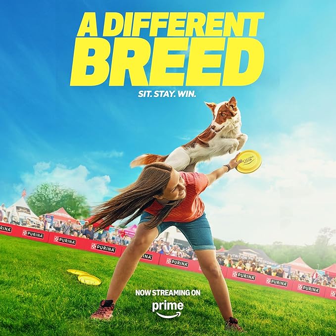 Purina Pro Plan Sensitive Skin and Stomach Dog Food Wet Classic Pate Salmon and Rice Entrée - (Pack of 12) 13 oz. Cans