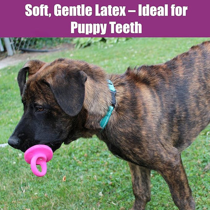 SPOT Puppy Pacifier Latex Dog Toy – Cute Binky-Shaped Chew Toy for Teething Puppies & Small Dogs, Best for Light Chewers, Durable & Non-Toxic with Squeaker, 4.5” – Assorted Colors