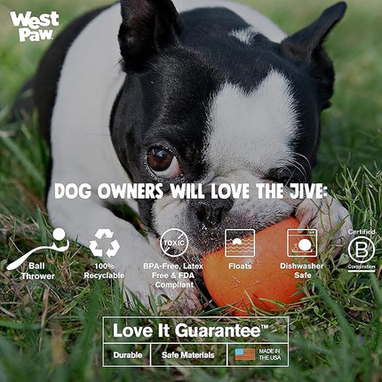 WEST PAW Zogoflex Jive Ball Dog Chew Toy – Bouncing Toys for Dogs, Fetch, Catch, Chewing, Play – Floatable, Recyclable Balls – Latex-Free, Non-Toxic, Dishwasher Safe Dog Toy, Small 2.5", Tangerine