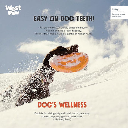 West Paw Zogoflex Zisc Dog Flying Disc, High Flying Aerodynamic Disc for Dogs Puppy – Lightweight, Floatable Disc for Fetch, Tug of War, Catch, Play – Doubles as Food/Water Bowl, Large 8.5", Aqua Blue