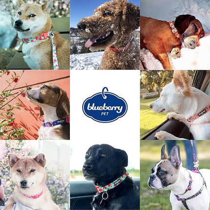 Blueberry Pet Adjustable Dog Collar for Large Dogs, Spring Scent Rose Print, Pink Puppy Collar, Girl Dog Collars, High-Density Polyester, Eco-Friendly Buckle, Neck 18-26 Inches