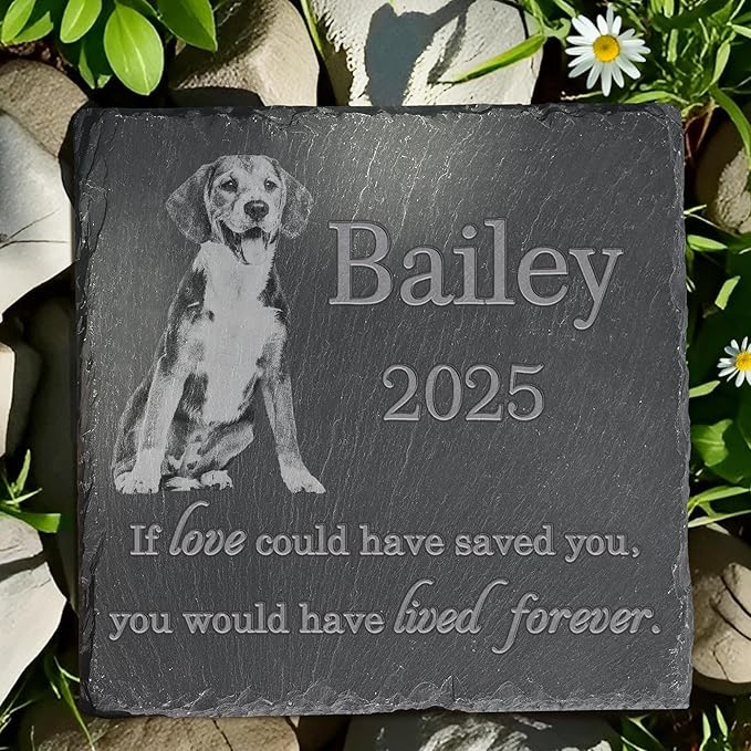 Pet Memorial Stone, Dog Memorial Stone, Dog Memorial Gifts for Loss of Dog, Pet Memorial Gifts, Loss of Pet Sympathy Gift, in Loving Memory Pet - Loved Could Saved You Forever - Square