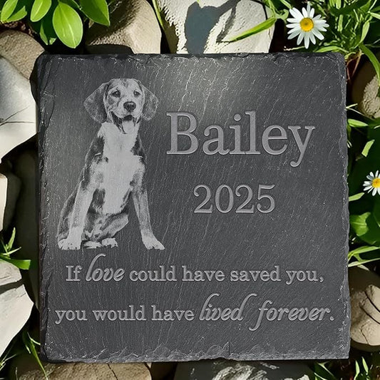 Pet Memorial Stone, Dog Memorial Stone, Dog Memorial Gifts for Loss of Dog, Pet Memorial Gifts, Loss of Pet Sympathy Gift, in Loving Memory Pet - Loved Could Saved You Forever - Square
