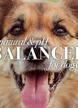 Burt's Bees for Pets Shed Control Shampoo for Dogs with Omega-3 and Vitamin E, 99.7% Natural Origin Formulas, Dog Cleanser for Reducing Shedding - Deshedding Canine Wash, 2pk, 16 oz