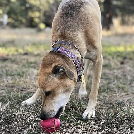 SodaPup MuttsKickButt Cupcake – Durable Dog Treat Dispenser & Chew Toy Made in USA from Non-Toxic, Pet Safe, Food Safe Natural Rubber for Mental Stimulation, Problem Chewing, Calming Nerves & More
