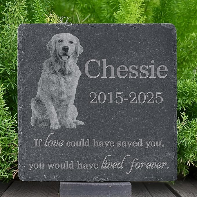 Pet Memorial Stone with Photo, Dog Memorial Gifts for Loss of Dog, Personalized Pet Memorial Gifts, Pet Loss Gift - Lived Forever（Square）