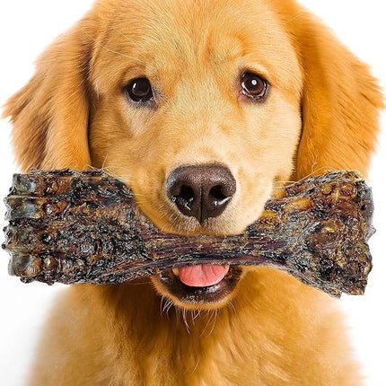 Large Dog Bones Long Lasting, Liver Coated Dog Bones for Aggressive Chewers, Natural Treats for Large Dogs, Healthy Beef Shin Chew Bone, 1 Count