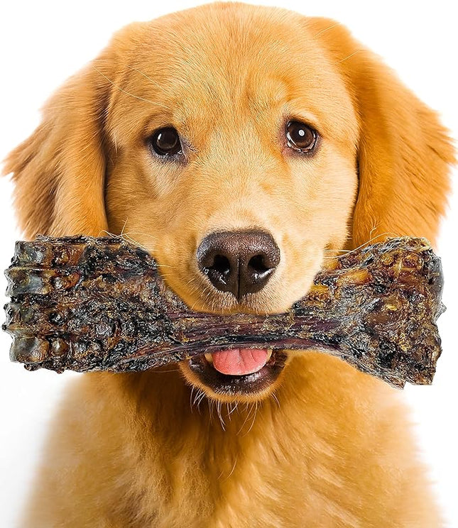 Large Dog Bones Long Lasting, Liver Coated Dog Bones for Aggressive Chewers, Natural Treats for Large Dogs, Healthy Beef Shin Chew Bone, 1 Count