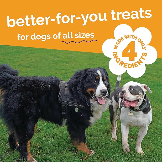 Fruitables Small Dog Treats – Whole Jerky Bites – Healthy Treats – Turkey & Sweet Potato Flavor – 5 Ounces