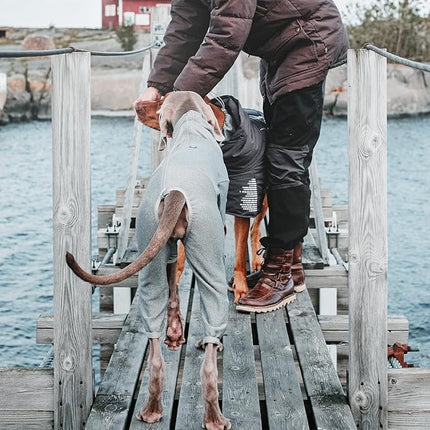 Hurtta Body Warmer Dog Body Suit, Recovery Suit, Carbon Grey, 20M