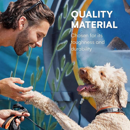 Black Rhino Extra Large Dog Collar - Adjustable Reflective Heavy Duty Dog Collars with Ultra-Soft Neoprene Padding - Weatherproof, Durable, and Comfortable - Ideal for Active Dogs - Orange and Black