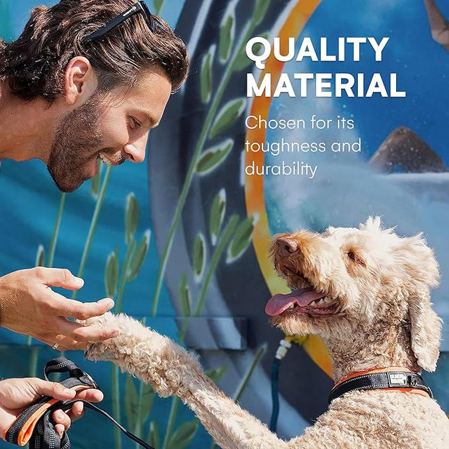 Black Rhino Extra Large Dog Collar - Adjustable Reflective Heavy Duty Dog Collars with Ultra-Soft Neoprene Padding - Weatherproof, Durable, and Comfortable - Ideal for Active Dogs - Orange and Black