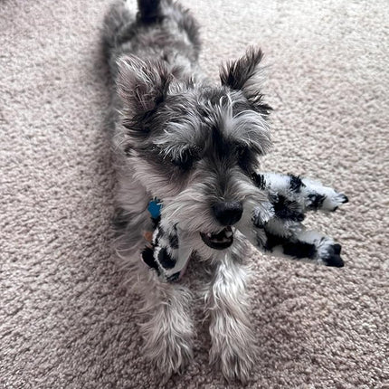 SPOT Skinneeez Crinklers Cow - Stuffing-Free Dog Toy with Crinkle & Squeaker Sounds, Durable for Moderate Chewers, Tug Toy for Small Dogs & Puppies, 14in