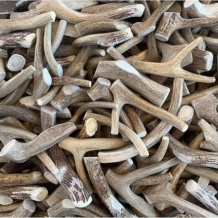 Antler Man Premium Deer Antler Pieces - Dog Chews - Sold by The Pound