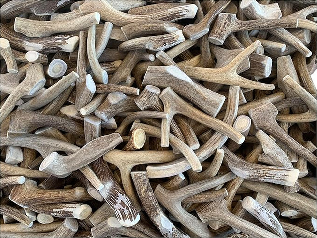 Antler Man Premium Deer Antler Pieces - Dog Chews - Sold by The Pound