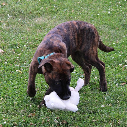 SPOT 6in Vermont Style Fleece Rabbit Dog Toy – Soft Comfort Plushie for Small Dogs & Puppies – Built-in Squeaker – Safe for Light Chewers – No Plastic Parts – Calming & Cuddly Pet Toy