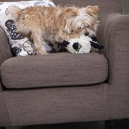 goDog Fuzzy Wuzzy Lamb Squeaky Plush Dog Toy, Chew Guard Technology - Assorted, Small