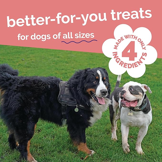 Fruitables Healthy Dog Treats – Whole Jerky Bites for Dogs – Alaskan Salmon & Pear Flavored – 5 Ounces