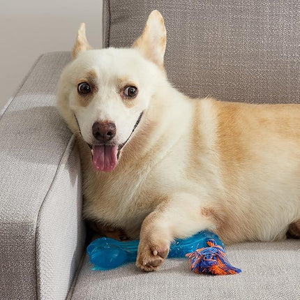 Petstages Orka Bone Royal Blue Treat-Dispensing Dog Chew Toy