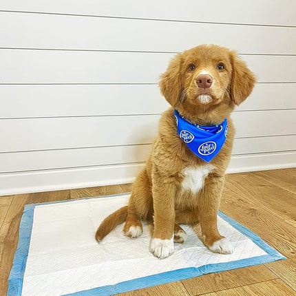 Four Paws Wee-Wee Odor Control with Febreze Freshness Pee Pads for Dogs & Puppies, Leak-Proof Dog Housebreaking Potty Training Floor Protection, Spring Fresh Scent, 22" x 23", 100 Count