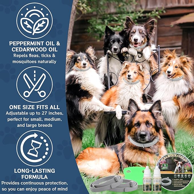 4 Pack Flea & Tick Prevention for Dogs Collar with Natural Essential Oils, Waterproof Adjustable Dog Flea and Tick Prevention Collar for Dogs, 8 Months Prevention