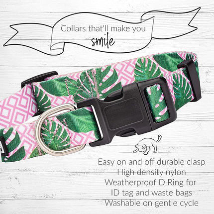 Lucky Love Dog, Tropical Matching Dog Collar & Leash Set, Soft & Comfy, Vivid Pink Color Collar and Leash for Female Male Dogs - (Small, Laguna Combo)