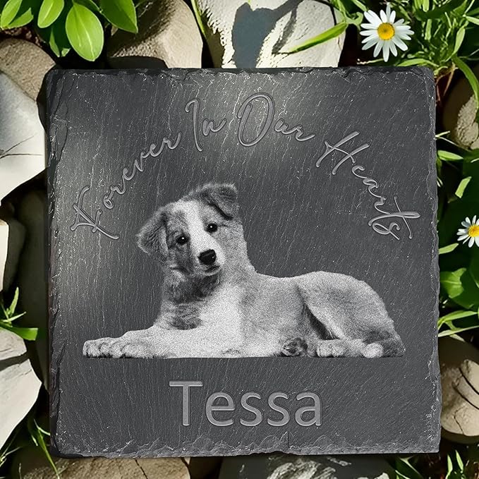 Pet Memorial Stone, Dog Memorial Stone, Dog Memorial Gifts for Loss of Dog, Pet Memorial Gifts, Loss of Pet Sympathy Gift, in Loving Memory Pet - Beloved Forever in Our Hearts - Square