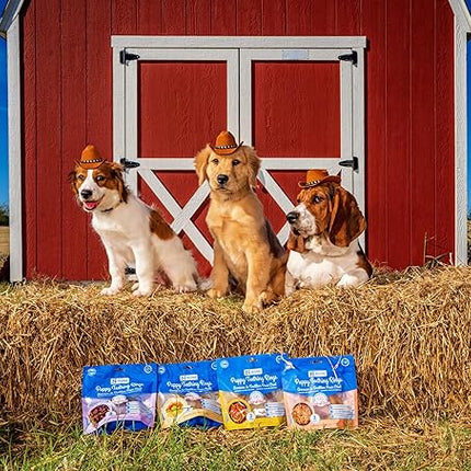 N-Bone Puppy Teething Rings Taste of Texas Pulled Pork Flavor 3 Count