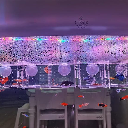 Acrylic Fish breeding Box, Acrylic Fish Isolation Box, Fish Separator for Aquarium, Hatchery Incubator with Suction Cups for Small Baby Fishes Shrimp Clownfish Guppy (3.9 * 3.9 * 3.9inch)