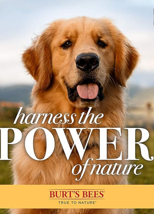 Burt's Bees for Pets Multipurpose Grooming Wipes - All-Purpose Cleaning & Grooming for Dogs - Cruelty-Free, 50 Count (6 Pack)