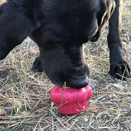 SodaPup MuttsKickButt Cupcake – Durable Dog Treat Dispenser & Chew Toy Made in USA from Non-Toxic, Pet Safe, Food Safe Natural Rubber for Mental Stimulation, Problem Chewing, Calming Nerves & More
