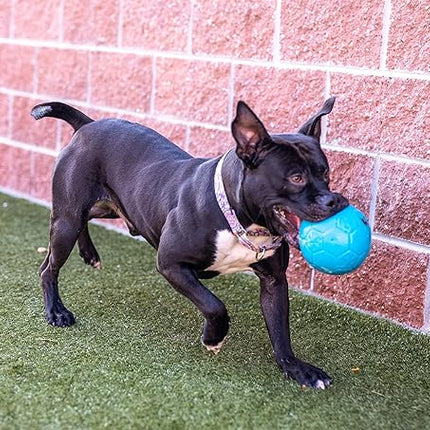 Jolly Pets Medium Jolly Soccer Ball Floating-Bouncing Dog Toy, 6”, Ocean Blue