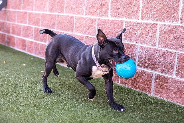 Jolly Pets Medium Jolly Soccer Ball Floating-Bouncing Dog Toy, 6”, Ocean Blue