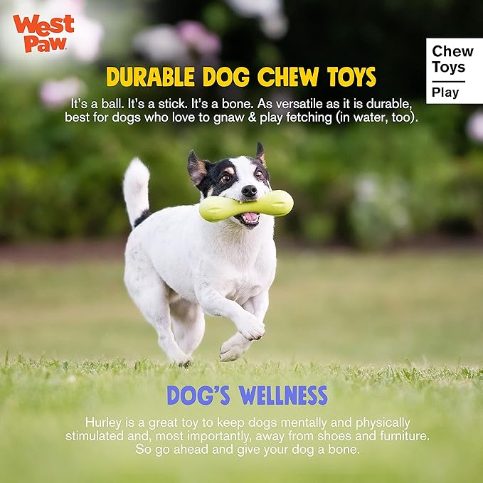 WEST PAW Zogoflex Hurley Dog Bone Chew Toy – Floatable Pet Toys for Aggressive Chewers, Catch, Fetch – Bright-Colored Bones for Dogs – Recyclable, Dishwasher-Safe, Non-Toxic, Large, Aqua