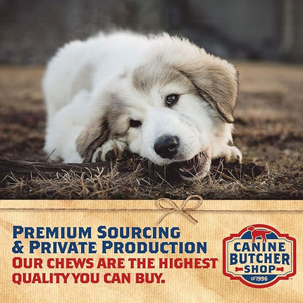 Pig Ears for Dogs, Always USA Made (30-Pack), All Natural, Sourced in USA Pig Ears, Digestible Pork Dog Chew Treat