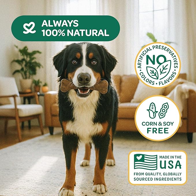 Wholesome Pride Natural & Healthy Pumpkin Highly Digestible Dog Chews, Made in The USA, Large - 2 Pack