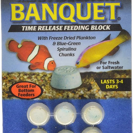 Zoo Med Laboratories AZMBB5 Plankton Banquet Block Feeder Mini