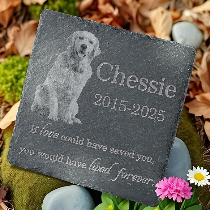 Pet Memorial Stone with Photo, Dog Memorial Gifts for Loss of Dog, Personalized Pet Memorial Gifts, Pet Loss Gift - Lived Forever（Square）