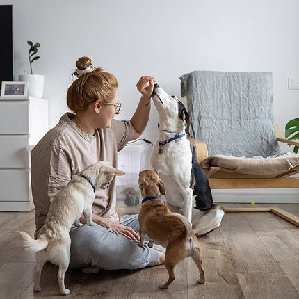 Exclusively Dog Best Buddy Bits Training Treats for Dogs and Puppies - All Natural, Baked in The USA, Ideal for Training & Agility, No Animal Byproducts - Cheese Flavor, 5.5oz Resealable Bag