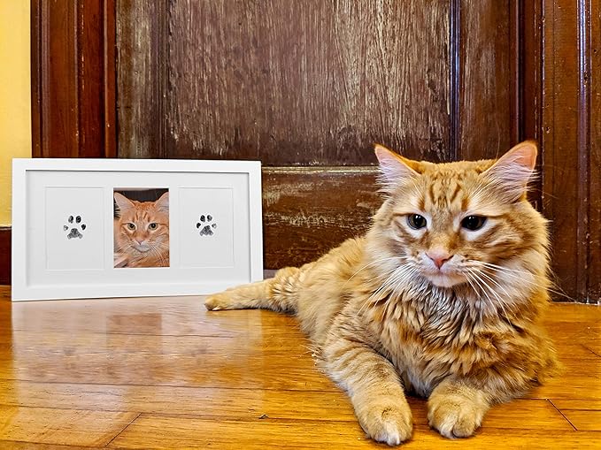 Green Pollywog Paw Print & Nose Print Kit with No-Mess Ink Pad | White | Pet Memorial Picture Display | Dog & Cat Keepsake Gift