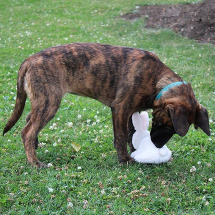 SPOT 6in Vermont Style Fleece Rabbit Dog Toy – Soft Comfort Plushie for Small Dogs & Puppies – Built-in Squeaker – Safe for Light Chewers – No Plastic Parts – Calming & Cuddly Pet Toy