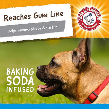 Arm & Hammer for Pets Nubbies Dental Toys Gator Dental Chew Toy for Dogs Best Dog Chew Toy for Moderate Chewers Reduces Plaque & Tartar Buildup Without Brushing, Gator (Pack of 24)