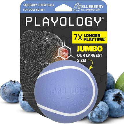 Playology Dog Toys | Squeaky Chew Ball - Bouncy Durable Floating Fetch Ball for Dogs | Jumbo Blueberry Scented Toy - Easy to Clean and Made from Non Toxic Materials
