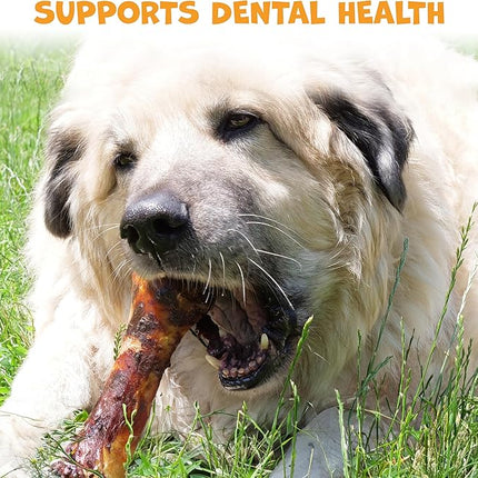 Beef Shin Bones for Dogs - Liver Coated Long Lasting Dog Chews for Aggressive Chewers - Rawhide-Free Big Bones for Large Dogs - Healthy Large Dog Bone (2 Pack)