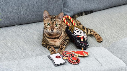 Harry Potter Cat Toy, Door Hanger with Catnip | Door Hanger Cat Toy with Harry Potter, Lightning Bolt, Glasses, and Hogwarts Invitation Plush with Catnip Components on Rope 22 Inch
