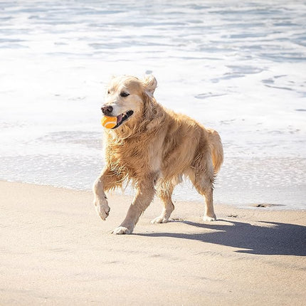 Hyper Pet MINI Tennis Balls for Dogs Safe Dog Toys & Tennis Balls for Exercise, Training, Hyper Pet K9 Kannon Dog Ball Launcher) Bright Colored Interactive Orange Pack of 4