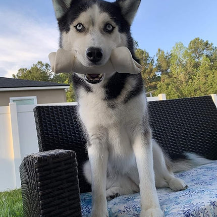 hotspot pets 8-9 Inch Large Rawhide Dog Chew Bones - (20 Pack) Made from Grass Fed Cows - Great for Dental & Oral Care for Aggressive Chewers Large Dogs