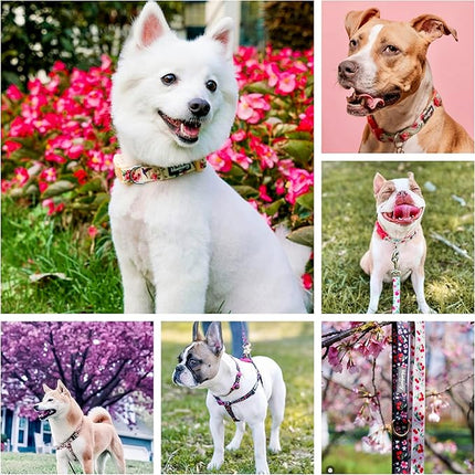 Blueberry Pet Adjustable Dog Collar for Large Dogs, Spring Scent Rose Print, Pink Puppy Collar, Girl Dog Collars, High-Density Polyester, Eco-Friendly Buckle, Neck 18-26 Inches