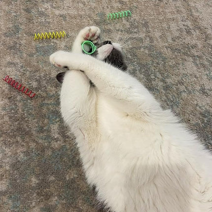 SPOT Colorful Springs Cat Toys – 3" Bouncy Coils for Indoor Cats & Kittens to Swat, Chase & Bite, Safe Lightweight Plastic, Interactive Enrichment Toys, 10-Pack Multi-Color