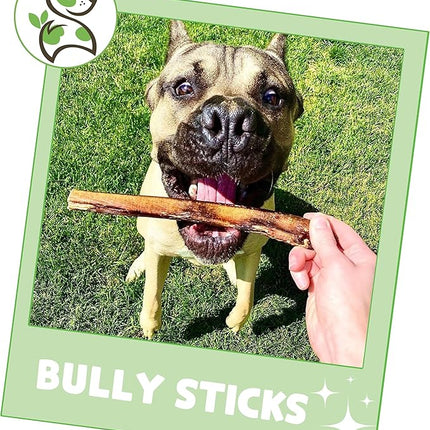 Nature Gnaws Bully Sticks for Dogs 5-6" (8oz) - Mixed Thickness - Long Lasting for Aggressive Chewers and Large Dogs - Natural Beef Dog Chew Bones